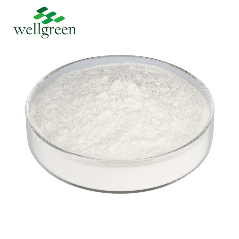 Collagen Peptide Powder Manufacturer - Wellnature Undenatured Type II Complex