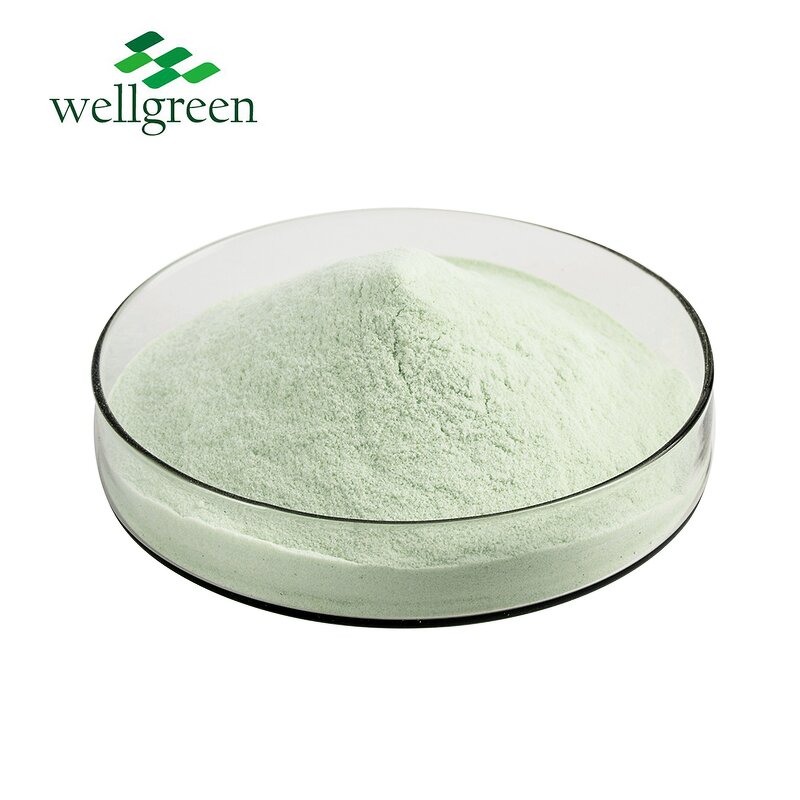 Avocado Powder Manufacturer - Concentrate Seed Fruit Freeze Dried