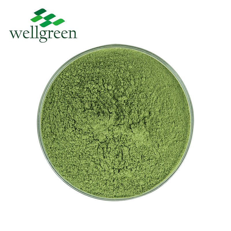Matcha Tea Powder Manufacturer - Ceremonial Green Japanese Organic Halal