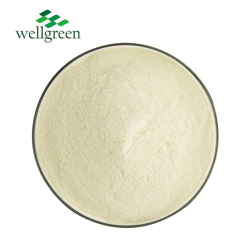 Greengage Powder Manufacturer - Wellgreen 100% Organic Fruit Enzymes Dried