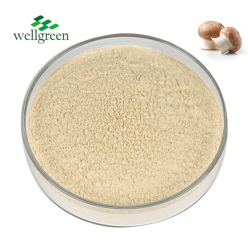 White Button Mushroom Powder Manufacturer - Wellgreen EU Organic Agaricus Bisporus