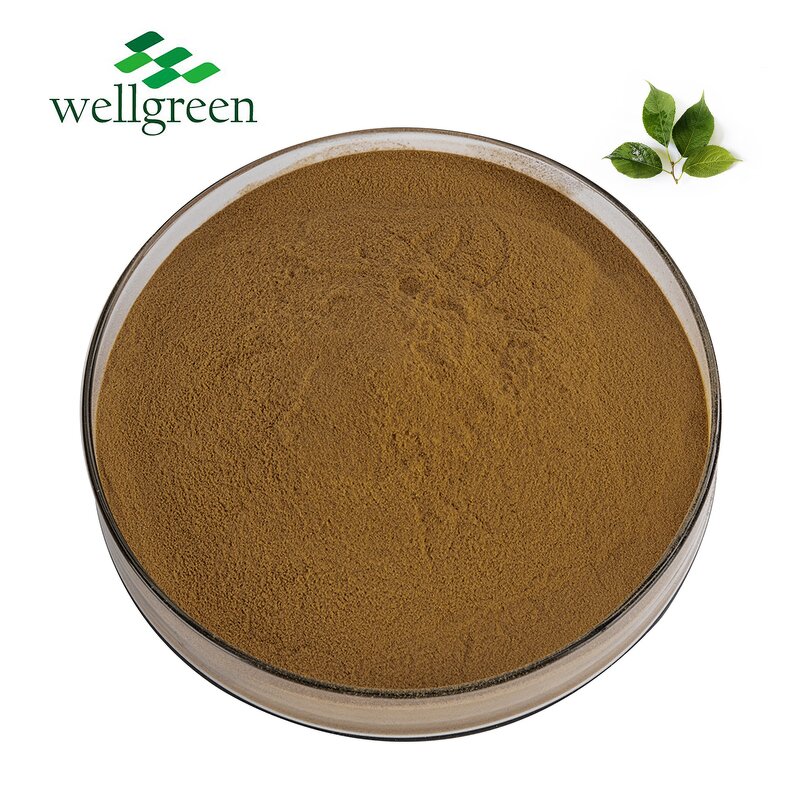 Chlorogenic Acid Manufacturer - ISO Factory Wholesale 98% from Eucommia Leaf
