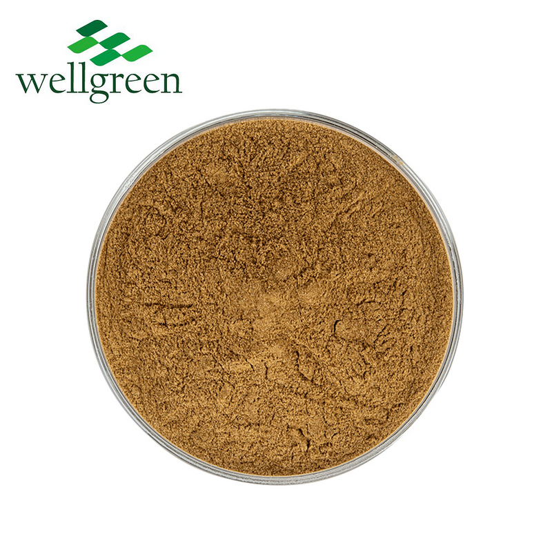 Soapberry Extract Powder Manufacturer - Wellgreen Herbal 10:1 Saponins