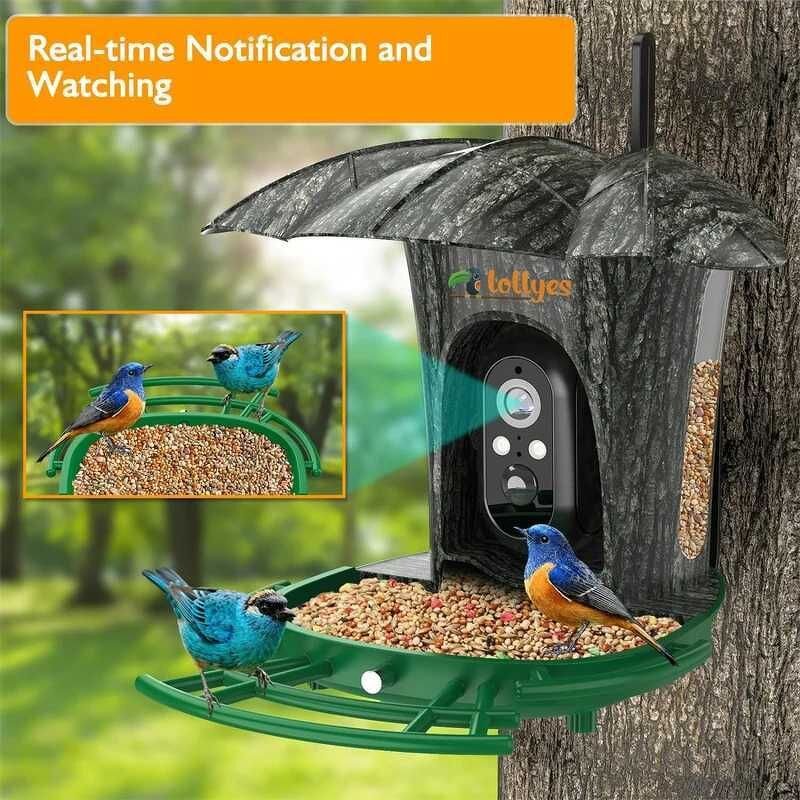 Bird Feeder Camera Manufacturer - 1080P HD AI Identify Species WIFI Camera