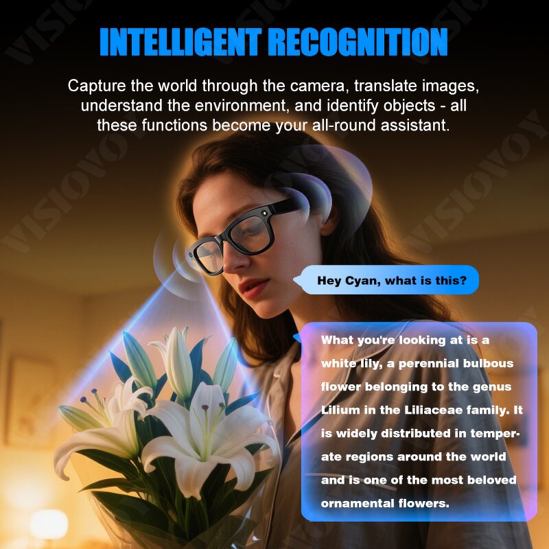 Smart Sunglasses - Manufacturer - BT5.4 Camera Live Recording 100+ Languages Sun Protection