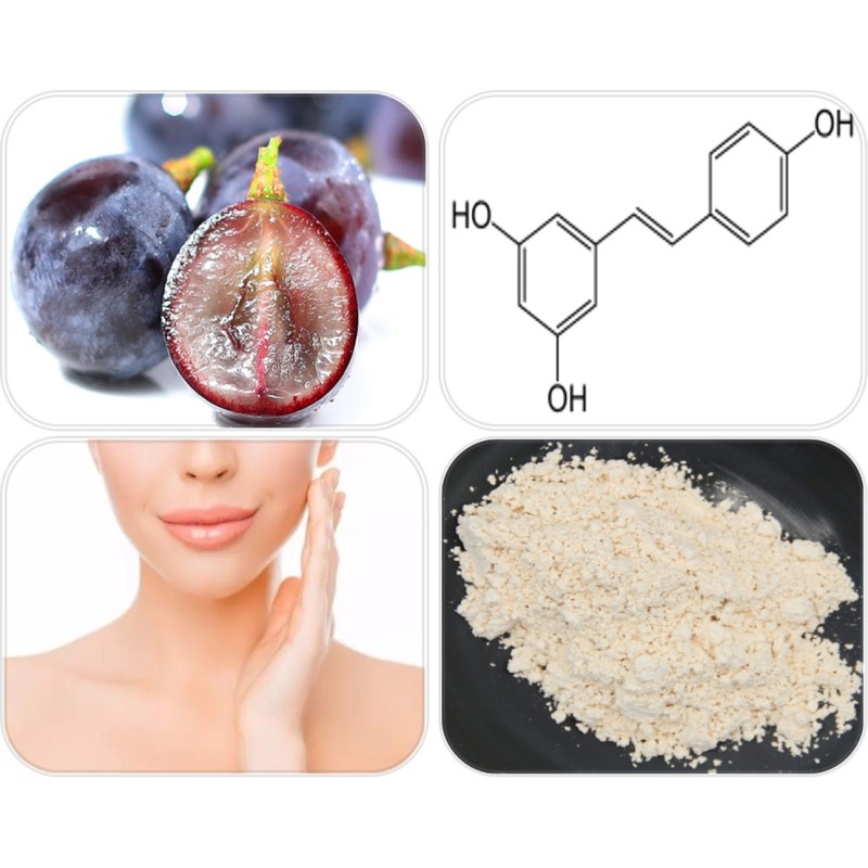 Resveratrol Capsules Manufacturer - 98%/50% Powder 500mg/1000mg Custom Dosage