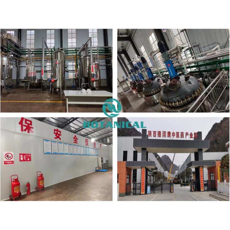 BCI Folic Acid Powder Wholesaler - 99% Vitamin B9 59-30-3 Bulk Supplement