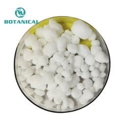 Camphor Powder Synthetic Wholesale Supplier - CAS 76-22-2 Custom Purity