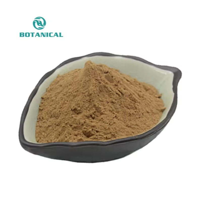 Polygonatum Sibiricum Extract Wholesaler - 10:1 20:1 Natural Rhizoma Custom