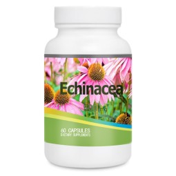 Echinacea Extract Powder Manufacturer - 4% Polyphenols Custom Capsule Filling