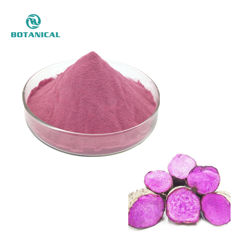 BCI Bulk UBE Purple Yam Powder Wholesaler - 100% Natural Custom Grinding