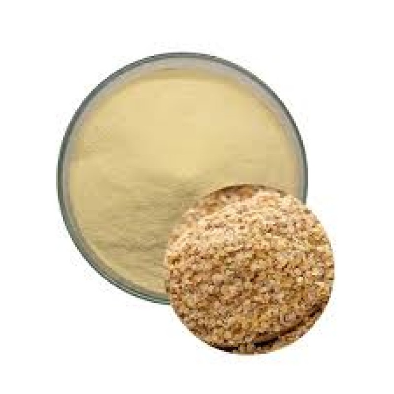BCI Wheat Germ Powder Supplier - Triticum Aestivum Extract Spermidine Custom