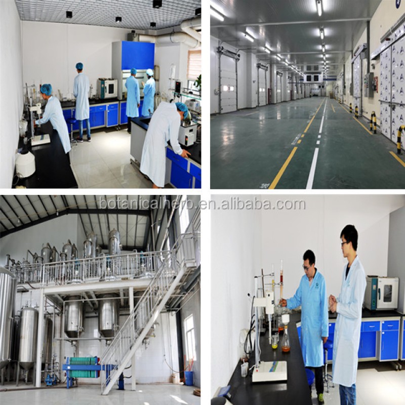 BCI Myo-Inositol Powder Food Grade Supplier - ITPP Custom Formulation