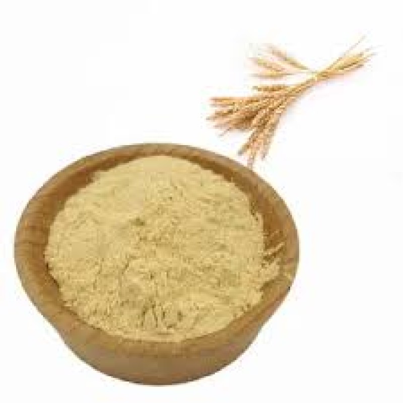 BCI Wheat Germ Powder Supplier - Triticum Aestivum Extract Spermidine Custom