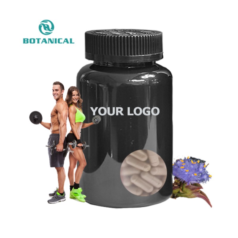 Beta-ecdysterone Capsules OEM Manufacturer - 20-hydroxyecdysone Powder 50%-98%