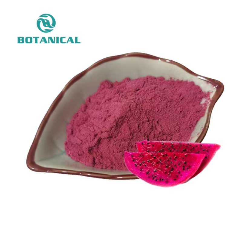 Red Dragon Fruit Powder Manufacturer - 100% Natural Food Grade Instant Powder