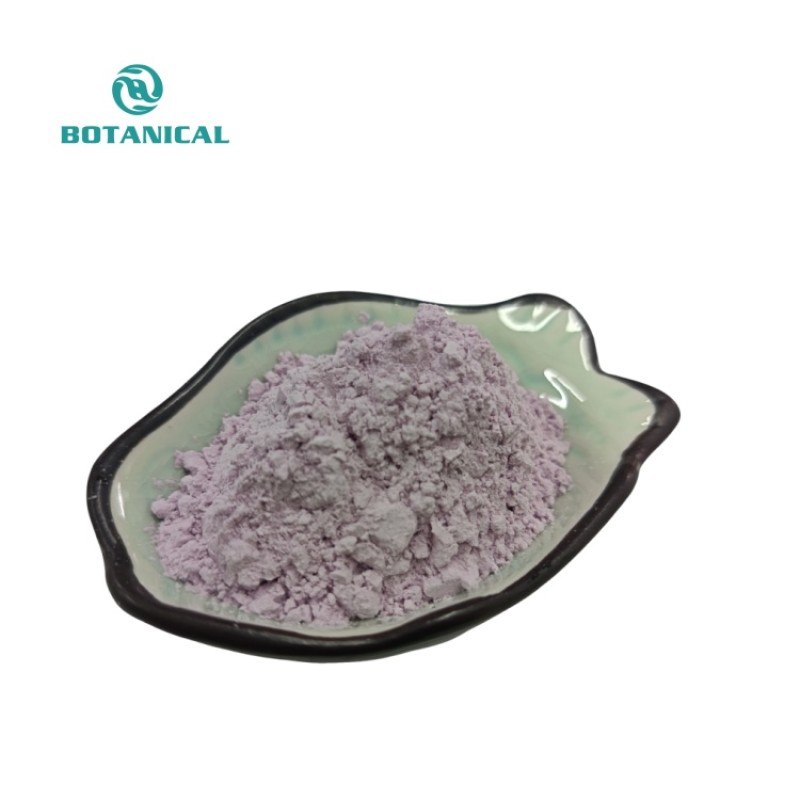 BCI Healthcare Purple Yam Powder Manufacturer - OEM/ODM Custom Ube Powder