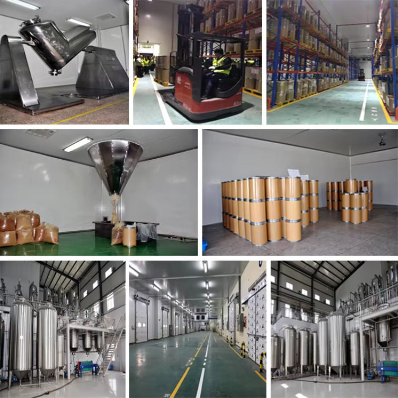 BCI Korean Red Ginseng Extract Powder Manufacturer - Ginsenosides Skin Care Custom