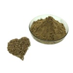 Cnidium Monnieri Extract Manufacturer - Antiviral Formula OEM Services