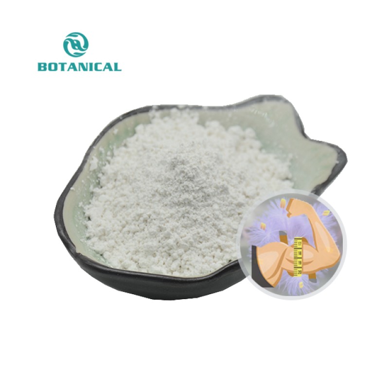 Beta-ecdysterone Capsules OEM Manufacturer - 20-hydroxyecdysone Powder 50%-98%