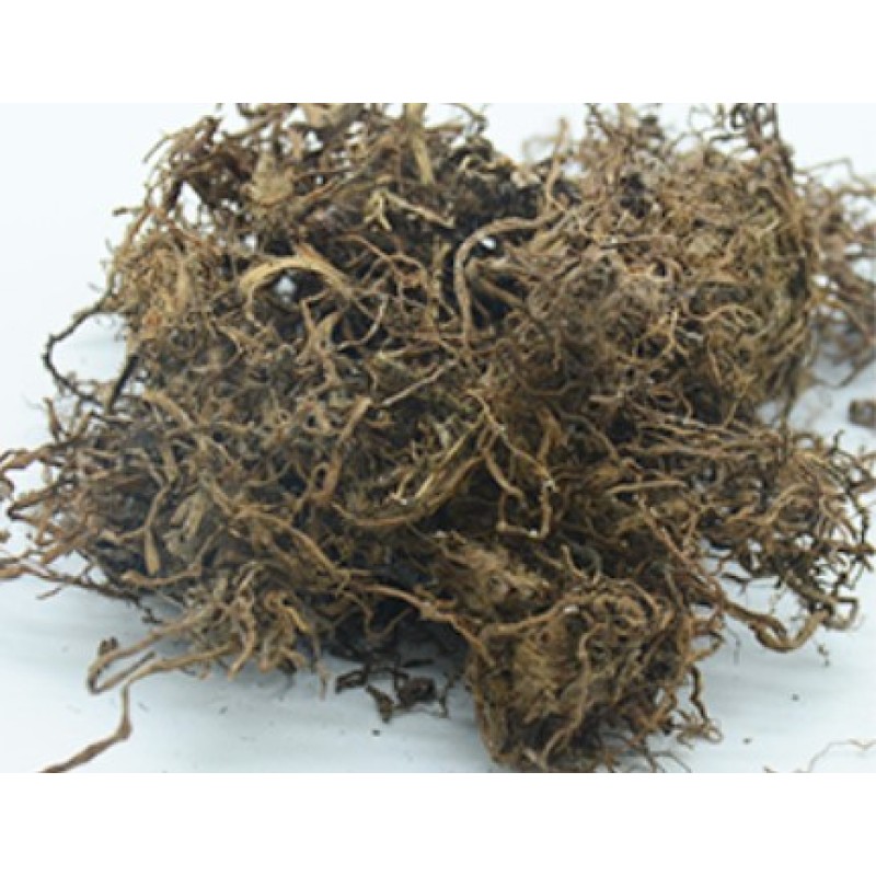 Beta-ecdysterone Capsules OEM Manufacturer - 20-hydroxyecdysone Powder 50%-98%