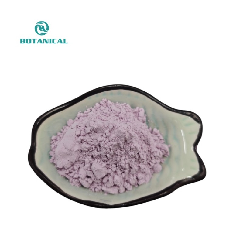 BCI Natural UBE Purple Yam Powder Supplier - Free Sample Available