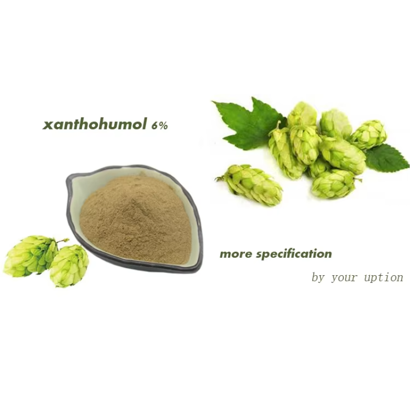 BCI Hops Extract Powder Supplier - Humulus Lupulus Custom Extraction