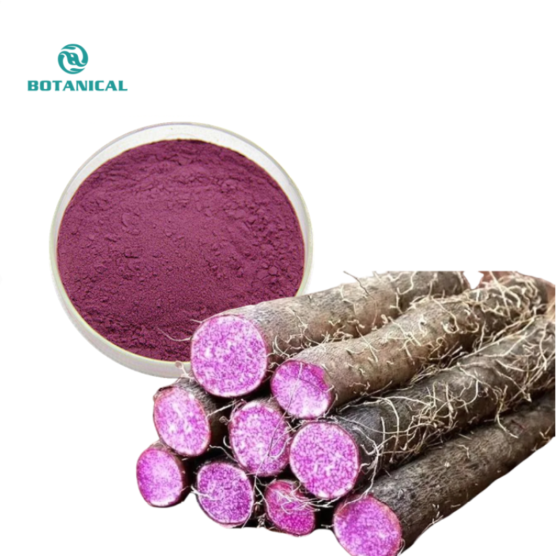 BCI Bulk UBE Purple Yam Powder Wholesaler - 100% Natural Custom Grinding
