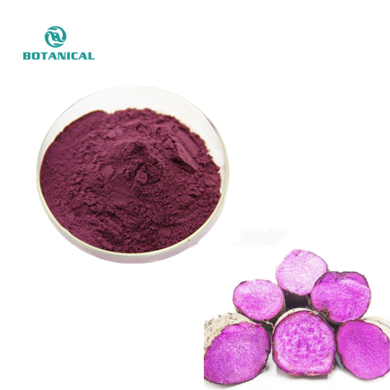 BCI Bulk UBE Purple Yam Powder Wholesaler - 100% Natural Custom Grinding