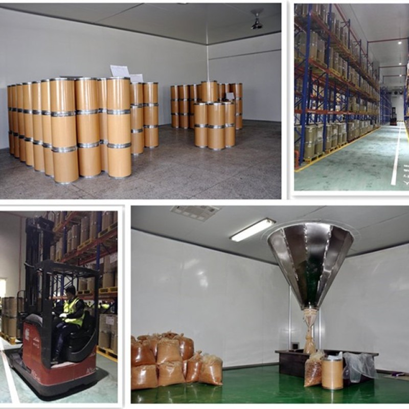 Camphor Powder Synthetic Wholesale Supplier - CAS 76-22-2 Custom Purity