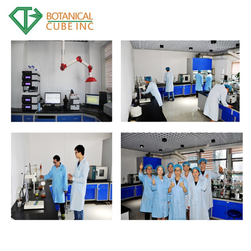 Natural Strawberry Powder Manufacturer - Pure Fruit Powder Custom Grinding