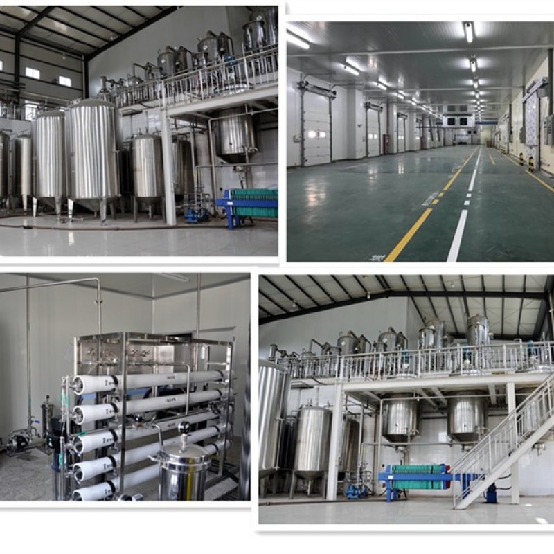 Camphor Powder Synthetic Wholesale Supplier - CAS 76-22-2 Custom Purity