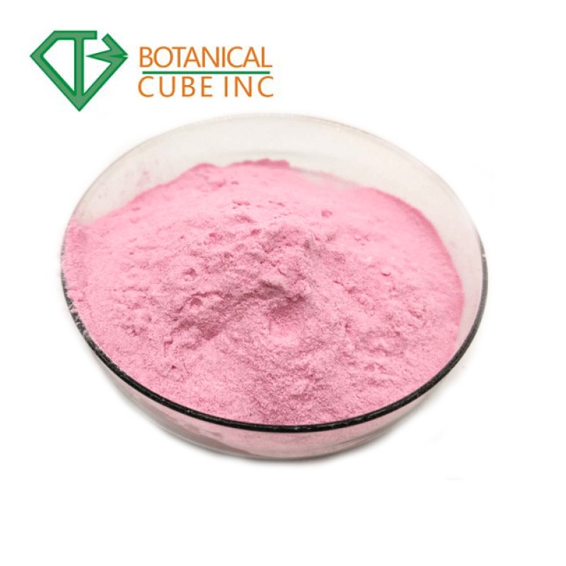 Natural Strawberry Powder Manufacturer - Pure Fruit Powder Custom Grinding