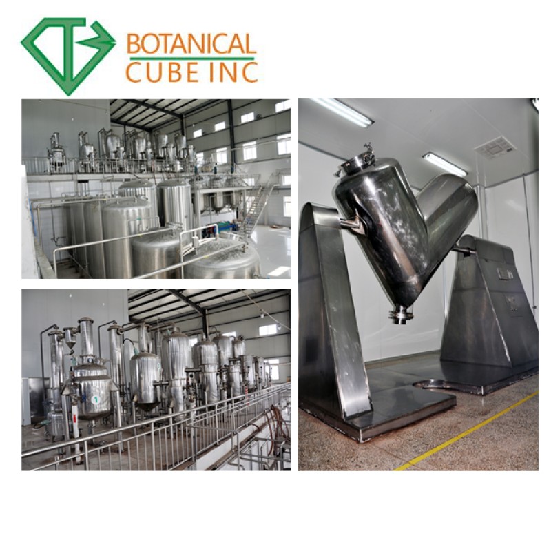 Natural Strawberry Powder Manufacturer - Pure Fruit Powder Custom Grinding