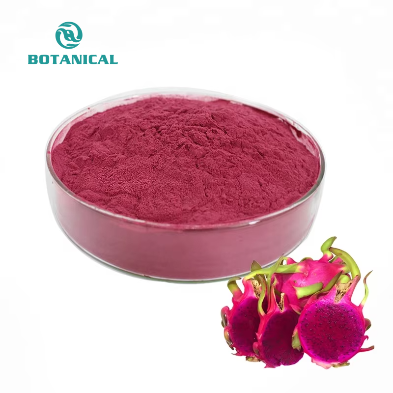 Red Dragon Fruit Powder Manufacturer - 100% Natural Food Grade Instant Powder