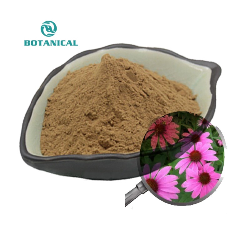 Echinacea Extract Powder Manufacturer - 4% Polyphenols Custom Capsule Filling