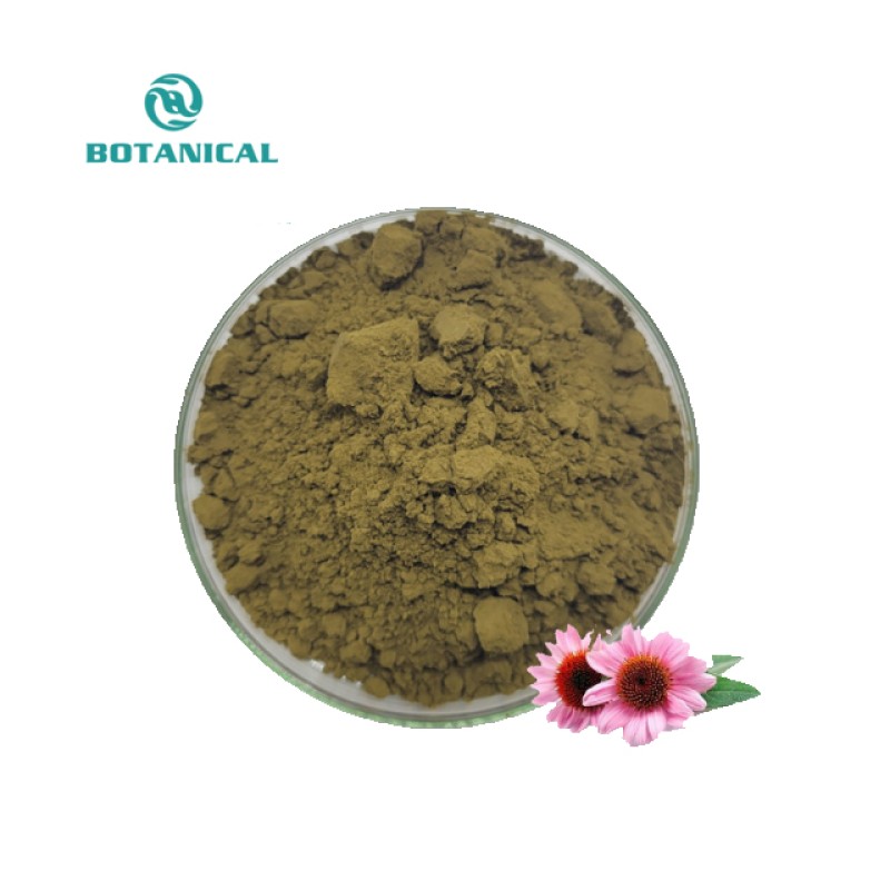 Echinacea Extract Powder Manufacturer - 4% Polyphenols Custom Capsule Filling