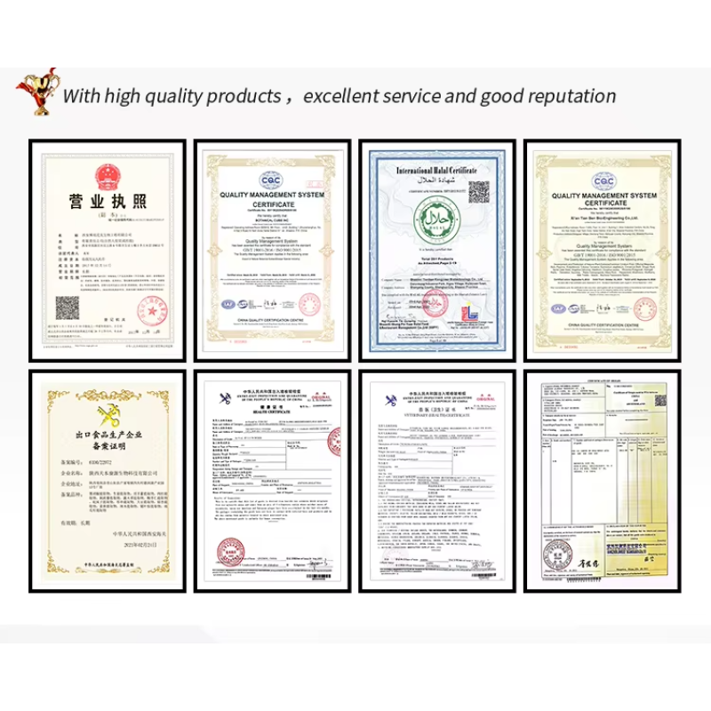 BCI Korean Red Ginseng Extract Powder Manufacturer - Ginsenosides Skin Care Custom