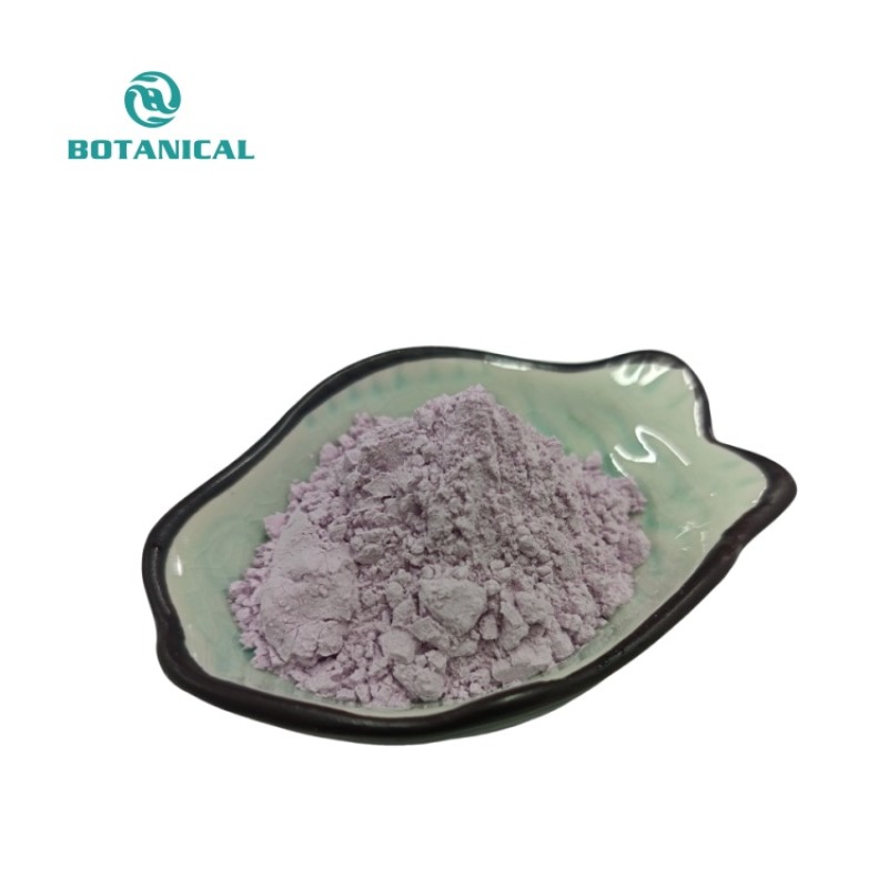 BCI Healthcare Purple Yam Powder Manufacturer - OEM/ODM Custom Ube Powder