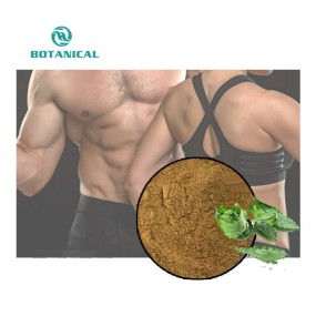 Men's Health Extract Powder Factory - Epimedium Maca Tribulus Custom Blend