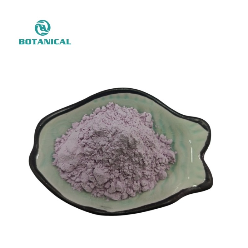 BCI Healthcare Purple Yam Powder Manufacturer - OEM/ODM Custom Ube Powder