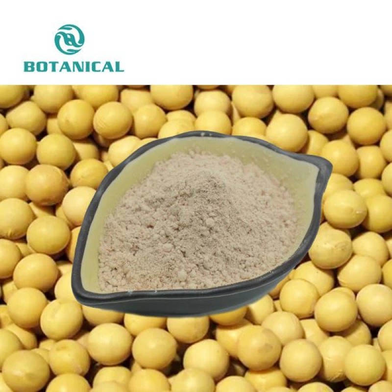 Soy Bean Extract Powder Supplier - 20%/40% Isoflavones Dietary Supplement Custom