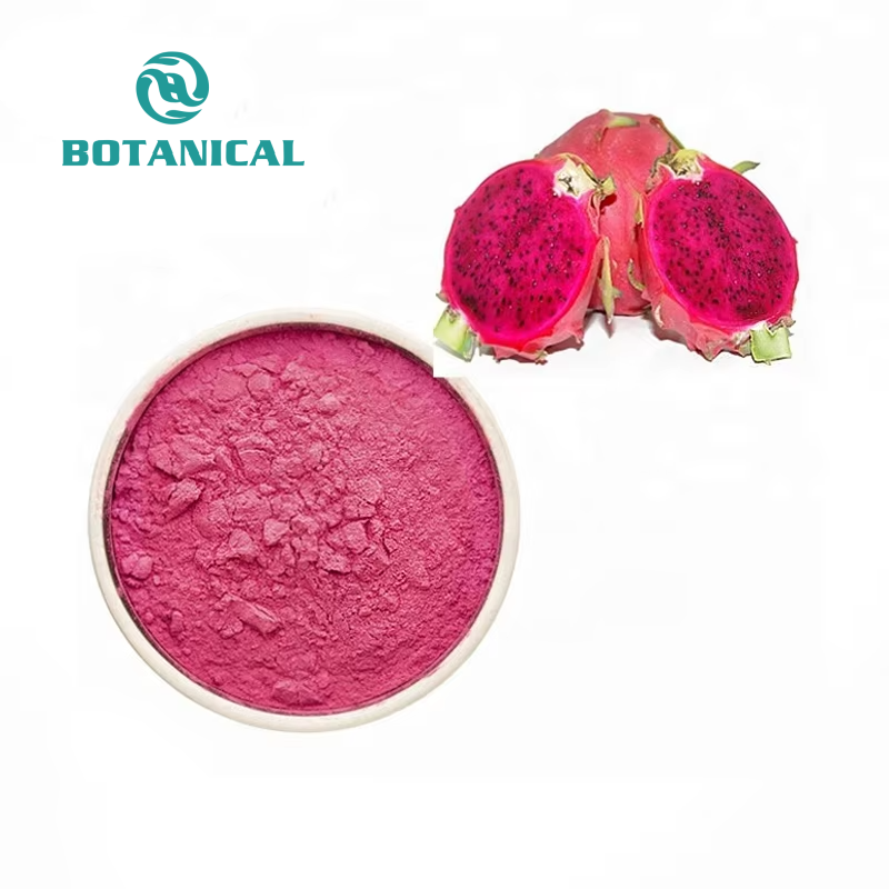 Red Dragon Fruit Powder Manufacturer - 100% Natural Food Grade Instant Powder