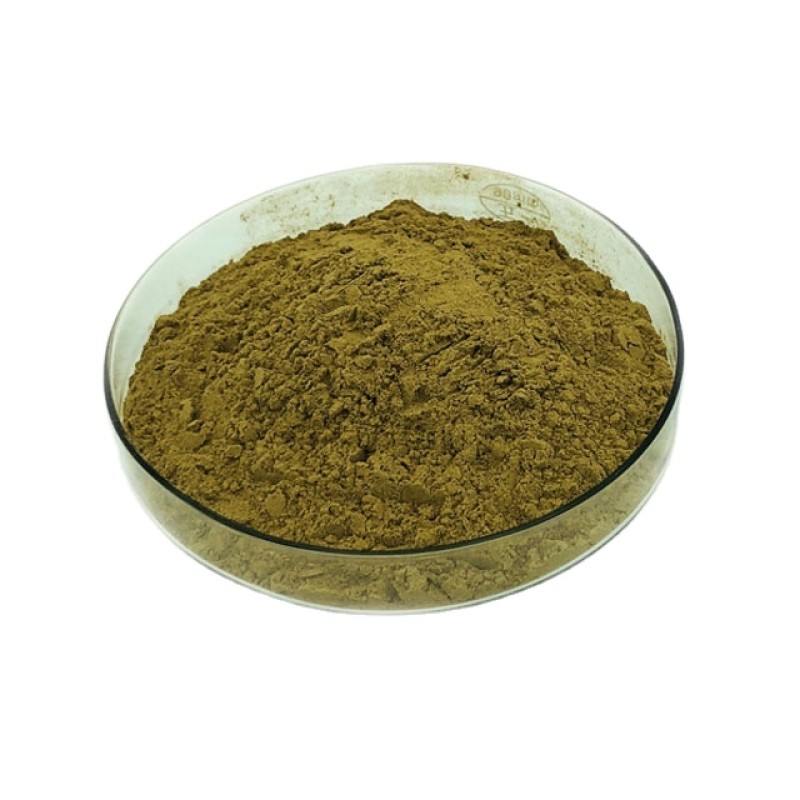 Cnidium Monnieri Extract Manufacturer - Antiviral Formula OEM Services