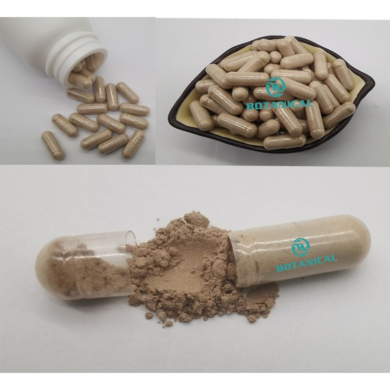 Beta-ecdysterone Capsules OEM Manufacturer - 20-hydroxyecdysone Powder 50%-98%