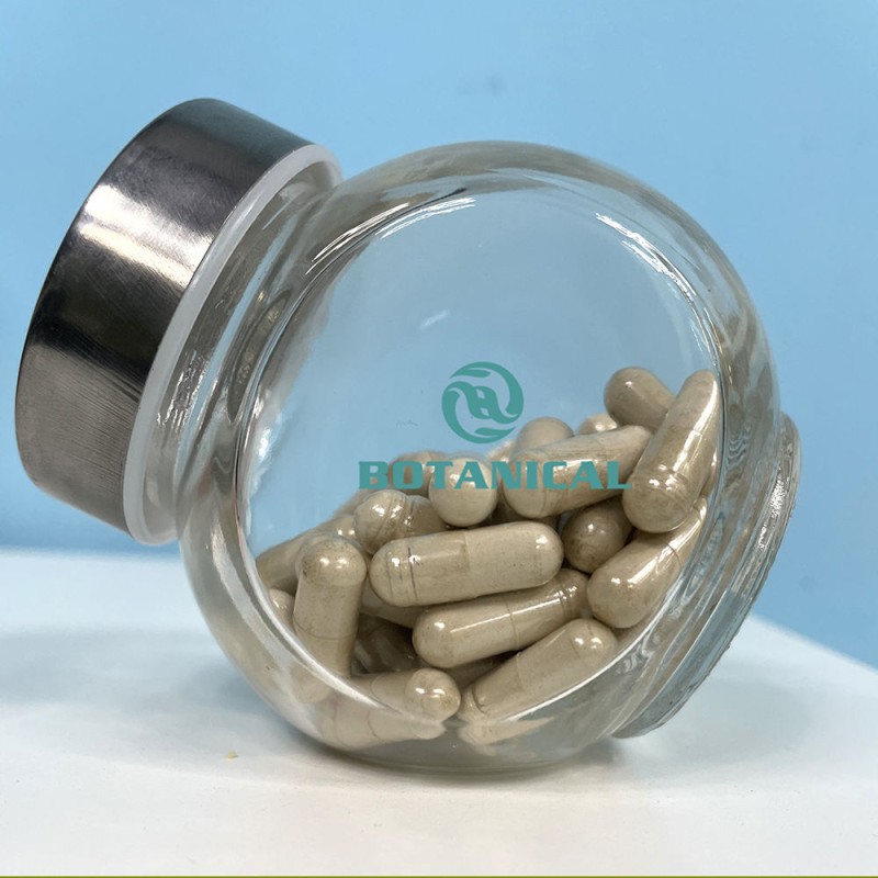 BCI Lion's Mane Extract Capsules OEM - Hericium Erinaceus Custom Private Label