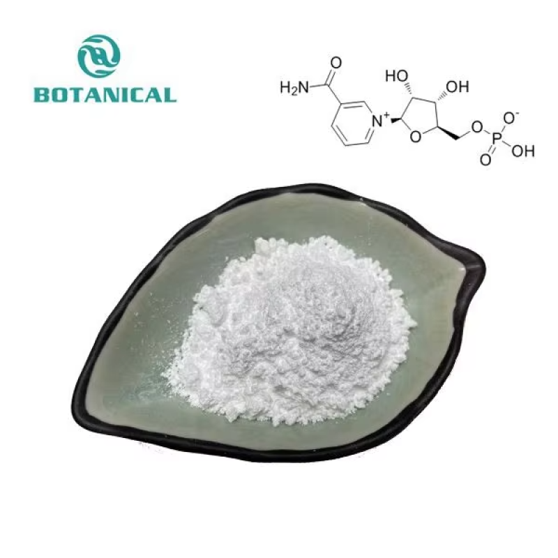 BCI NMN Powder Wholesaler - 99% Pure Nicotinamide Mononucleotide 1094-61-7