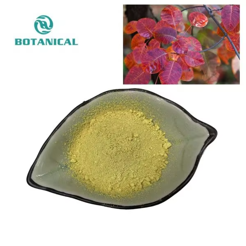 Cotinus Coggygria Extract Fisetin Powder Wholesaler - 98% Bulk Supply