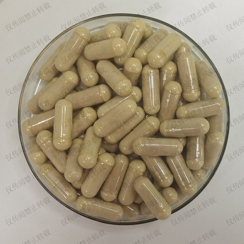 PQQ Supplement 500mg Capsules Manufacturer - Pyrroloquinoline Quinone for Energy & Sleep