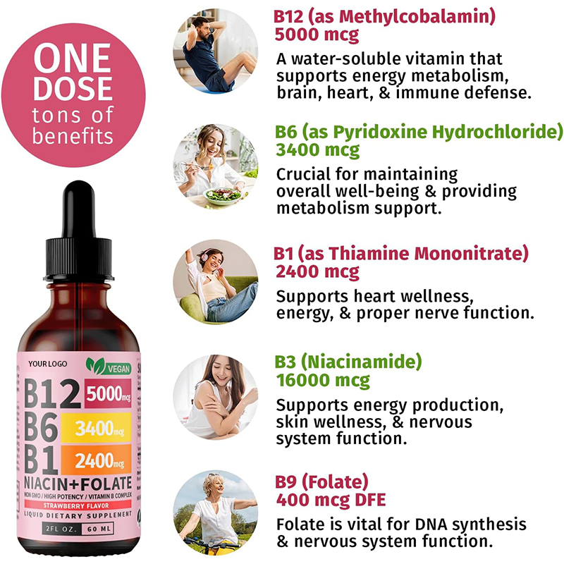 Creatine Monohydrate Powder Supplier - OEM 500g Vegan Muscle Support